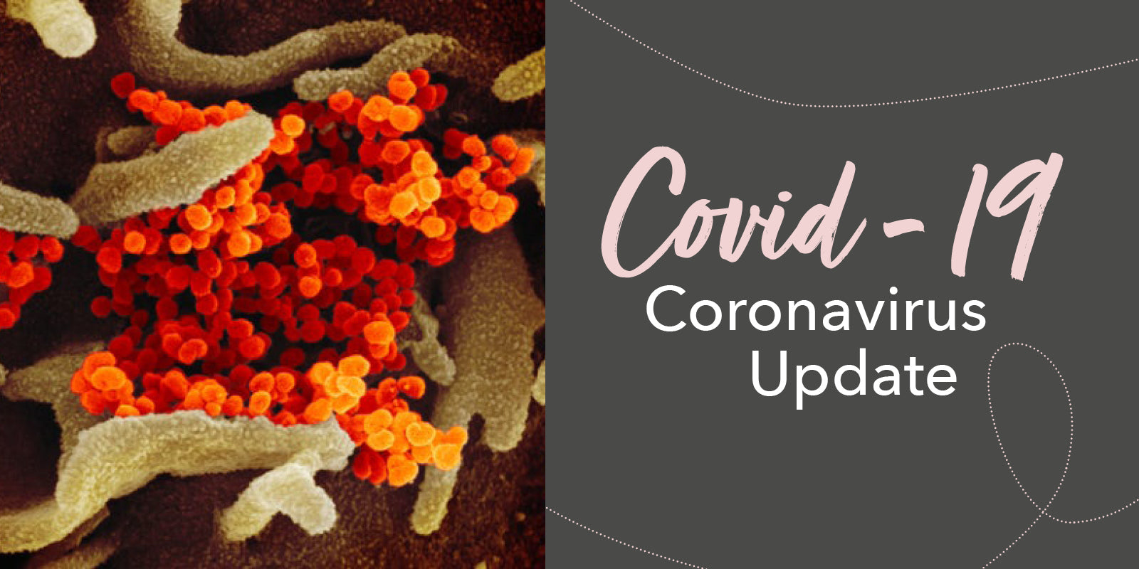 COVID-19 (Coronavirus) Update